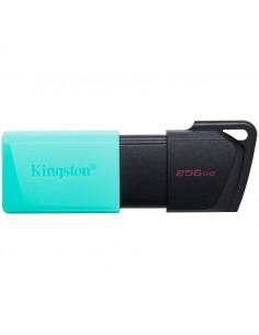 Kingston 256GB USB3.2 Gen1... 2